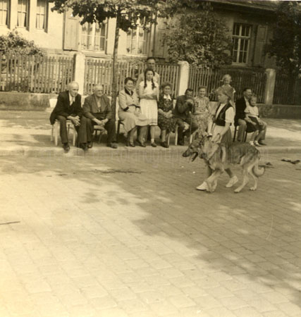 1955-26