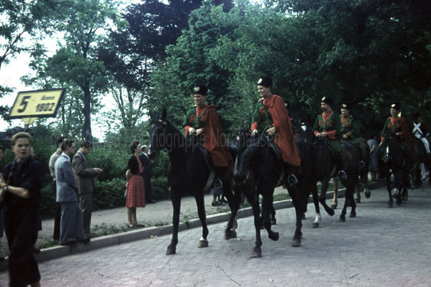 1955-31