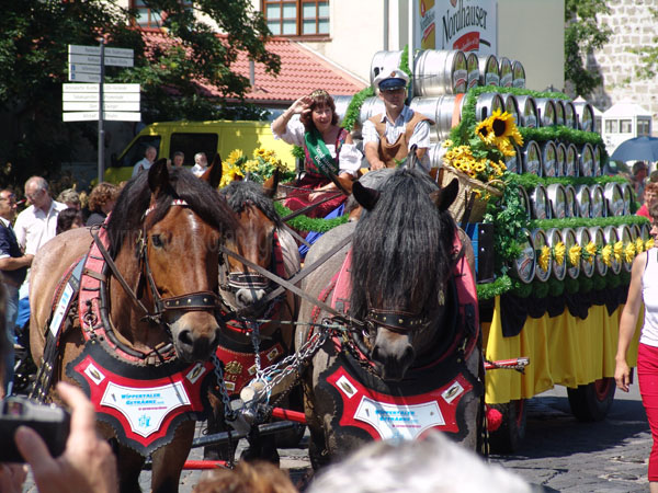 2007-umzug-22
